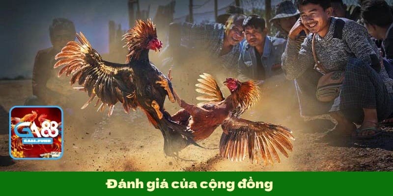 Đánh giá của cộng đồng