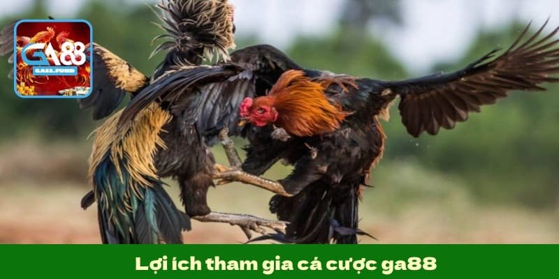 Lợi ích tham gia cá cược ga88