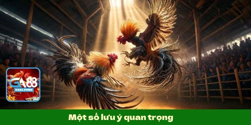 Một số lưu ý quan trọng