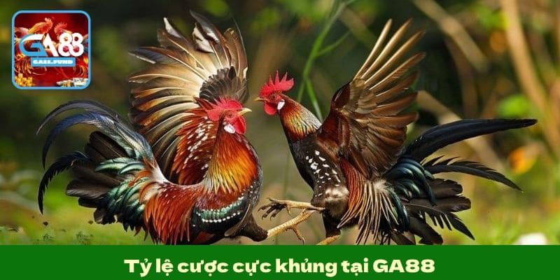 Tỷ lệ cược cực khủng